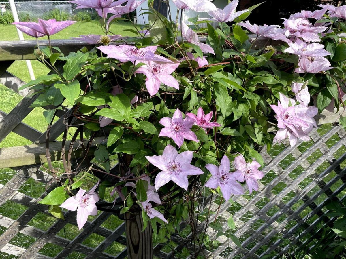 Schaumburg Paradise Oasis With A Secret Garden And Private Pool 외부 사진