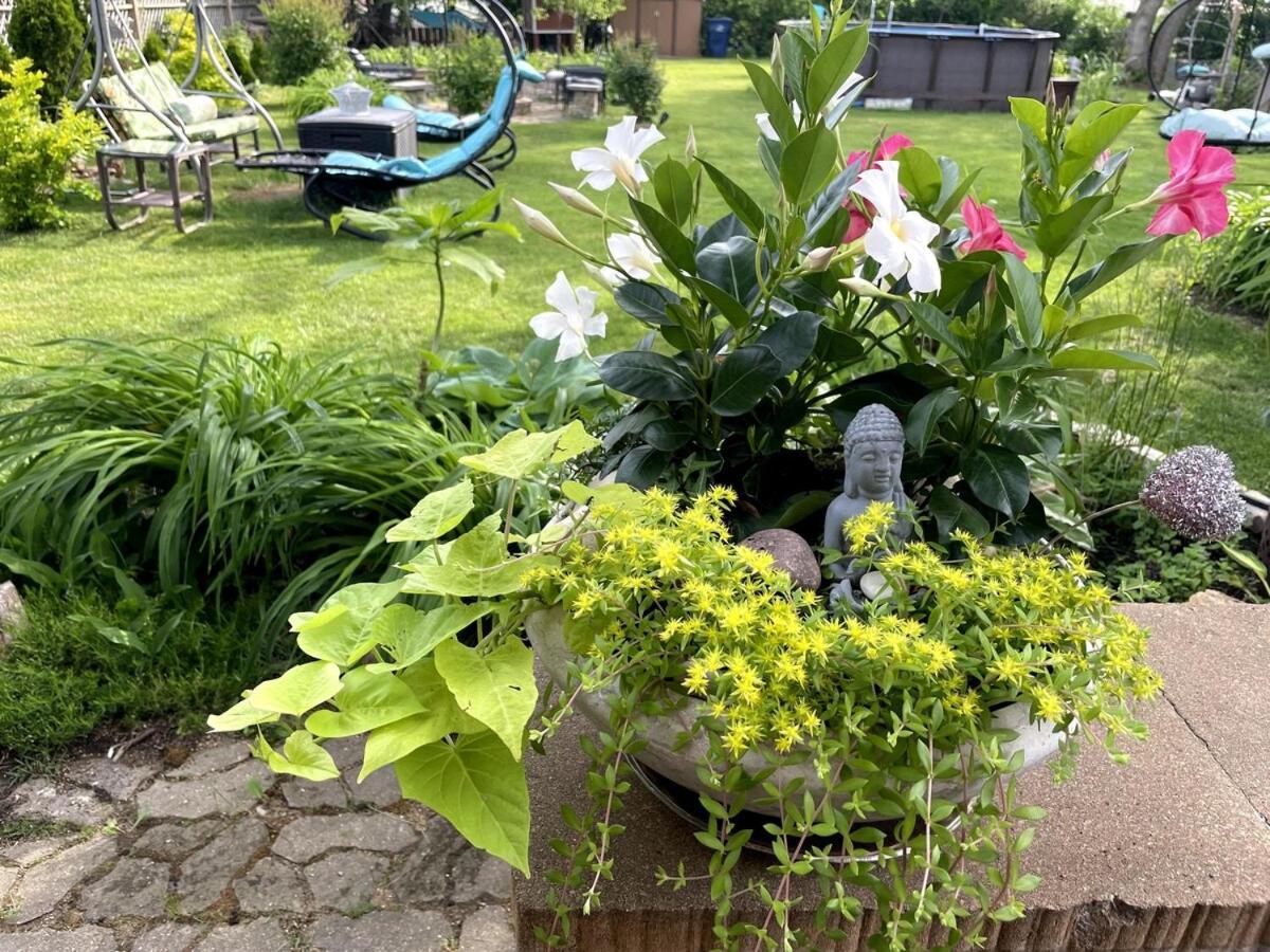 Schaumburg Paradise Oasis With A Secret Garden And Private Pool 외부 사진